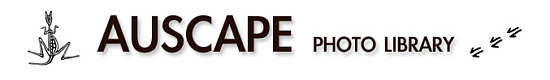 Auscape Photo Library